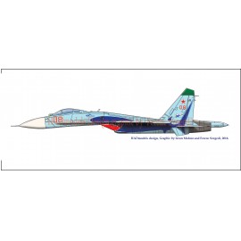 48171 Su-27(Russian 08 shark) decal 1:48