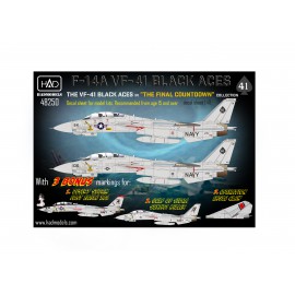 48250 F-14A Black Aces ”The Final Countdown” decal sheet 1:48