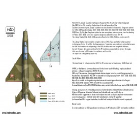 32078 MiG-21 UM 5091 ”Dongó” Századjelzéses Csillagos felségjellel matrica 1:32