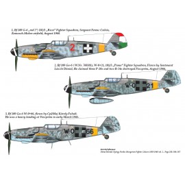48175 Messerschmitt Bf 109 G-6 decal sheet 1:48