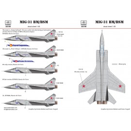 48166 MiG-31 decal sheet 1:48
