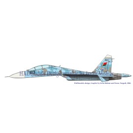48164 Su-27 UB Matrica 1:48