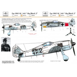 48115 Fw-190 F-8 / A-8  (Luftwaffe ”black 2”) decal sheet 1:48