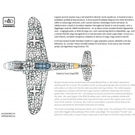32042/2021 Messerschmitt Bf 109 G-6 ”Erzsike” decal sheet 1:32