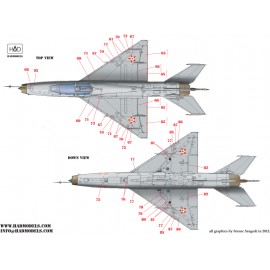 48157 MiG-21 UM HUnAF stencils for DDR  and Silver painting decal sheet 1:48