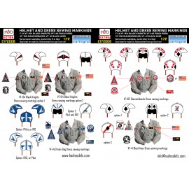E721008 F-14A/D helmet and dress sewing marlkings VF-143 VF-213 VF-41 decal sheet 1:72
