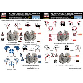 E321008 F-14A/D helmet and dress sewing marlkings VF-143 VF-213 VF-41 decal sheet 1:32