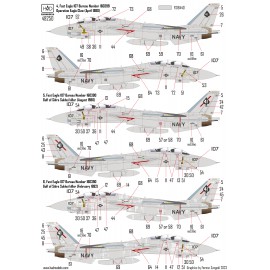 48250 F-14A Black Aces ”The Final Countdown” decal sheet 1:48